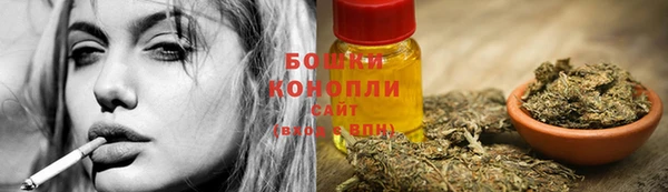 mdpv Горно-Алтайск