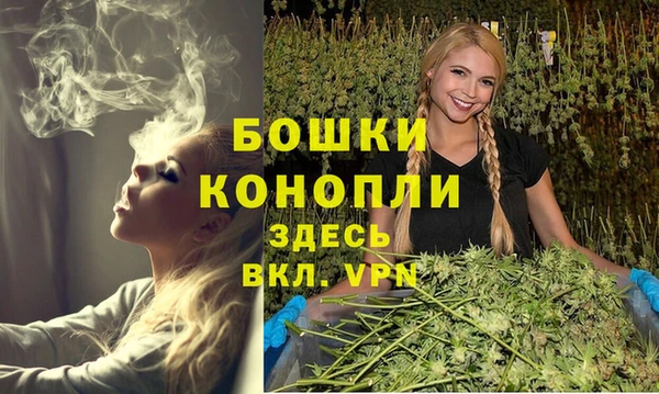 альфа пвп Горнозаводск