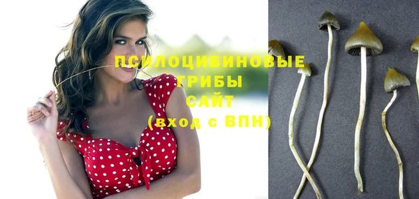 альфа пвп Горнозаводск