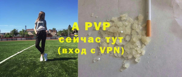 mdpv Горно-Алтайск