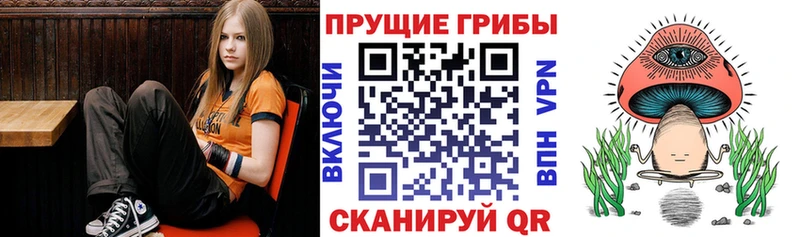Псилоцибиновые грибы мухоморы  Купить закладки  Кизилюрт 