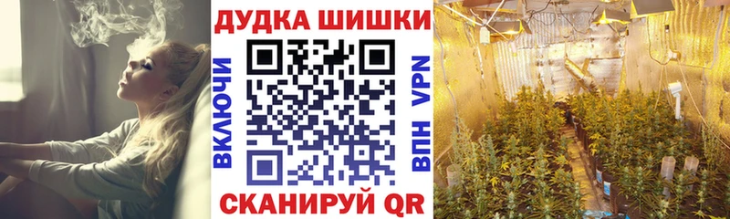 Купить  Кизилюрт  Бошки Шишки Ganja 